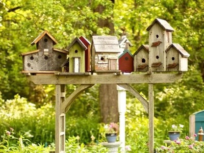 幼兒園自然角設(shè)計(jì)這樣做，讓人眼前一亮！